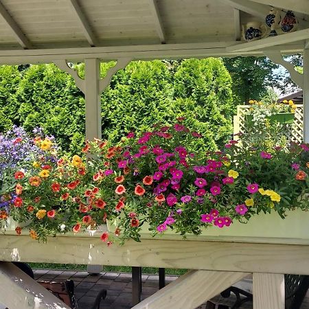 Apartament Hidden Gem Garden Kraków Zewnętrze zdjęcie